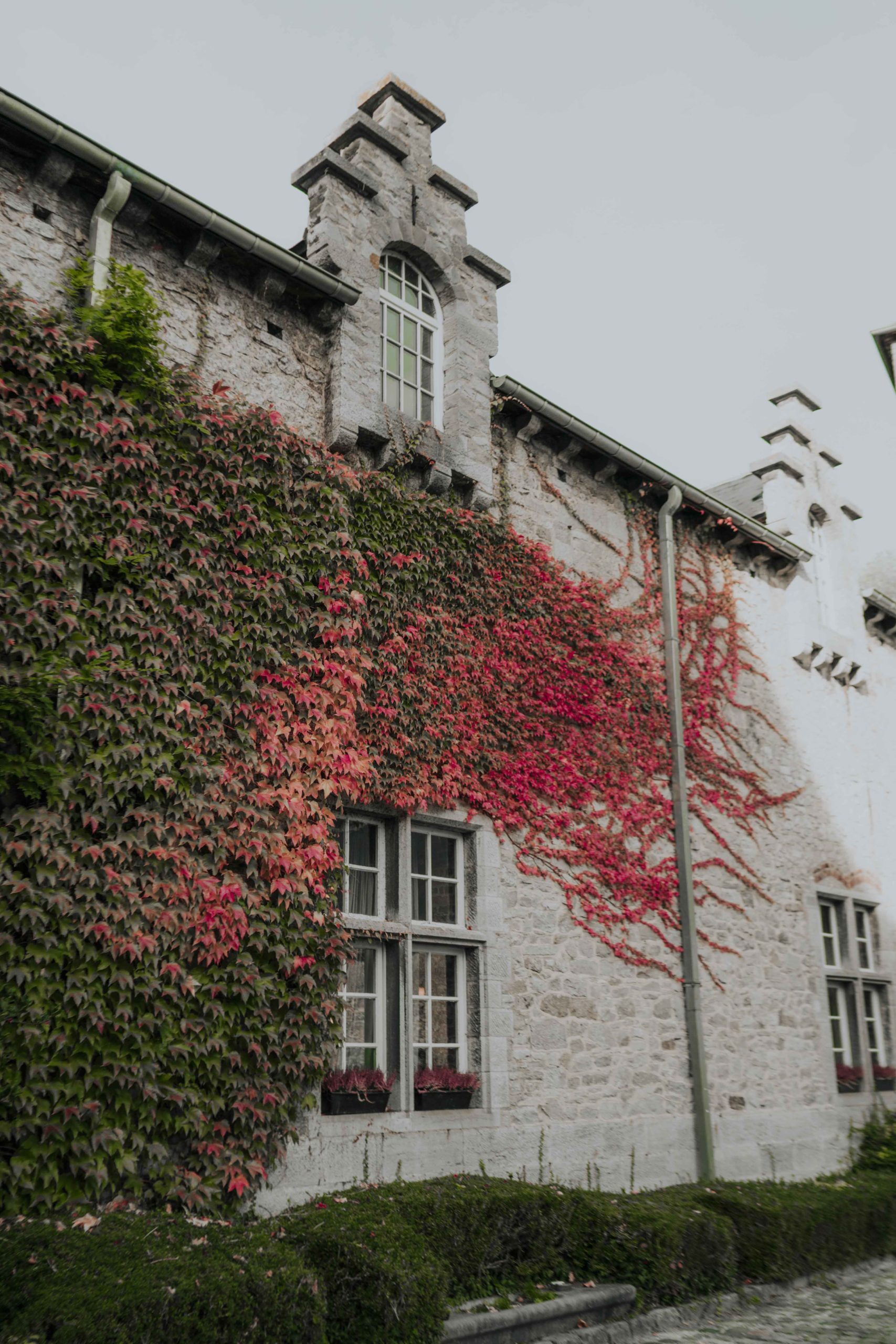 photographe-mariage-chateau-de-la-rocq-belgique-384