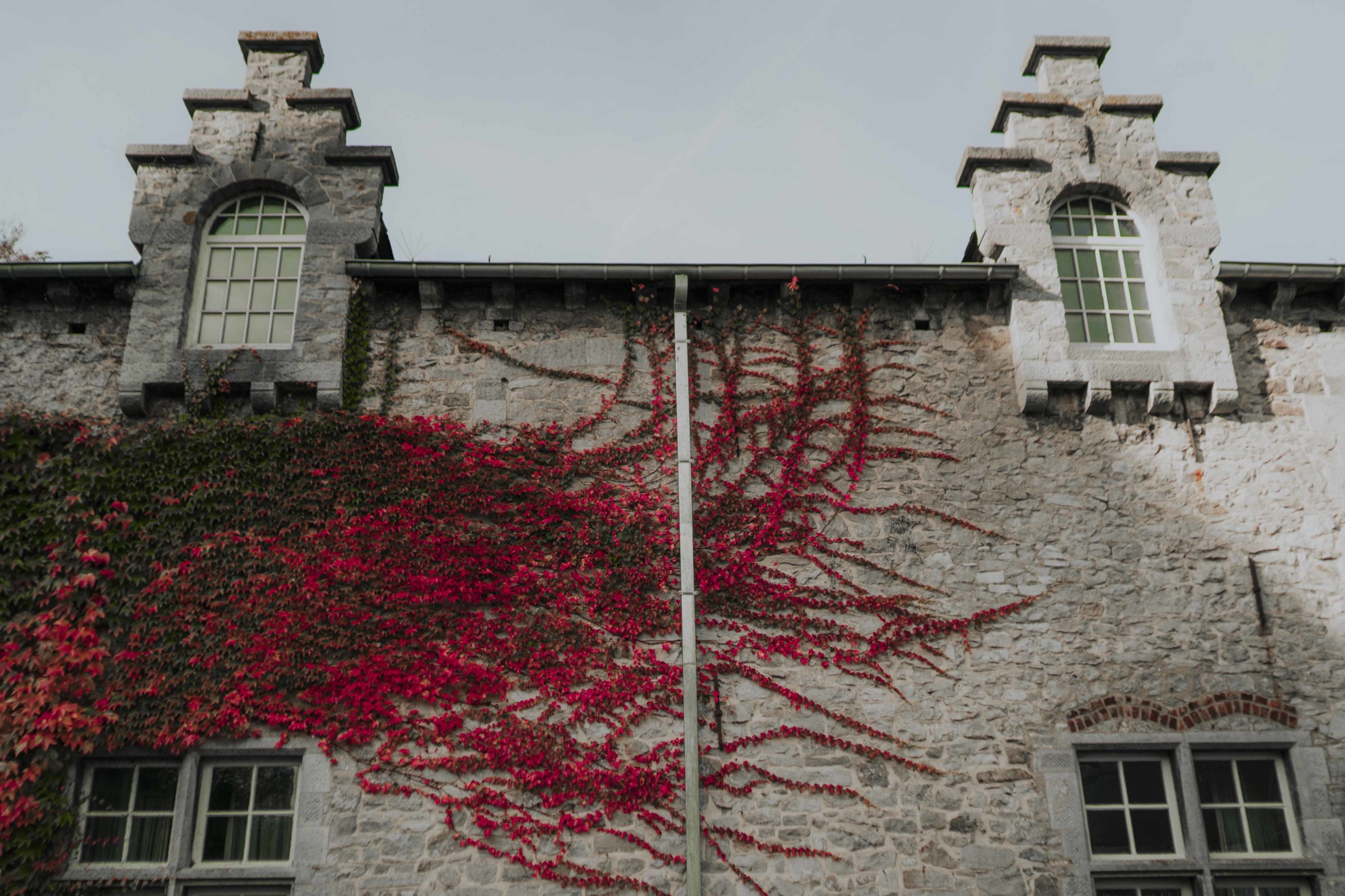 photographe-mariage-chateau-de-la-rocq-belgique-398