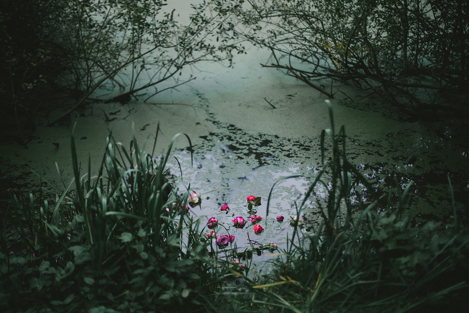 Fanny_myard_photography_ELIXIR-58