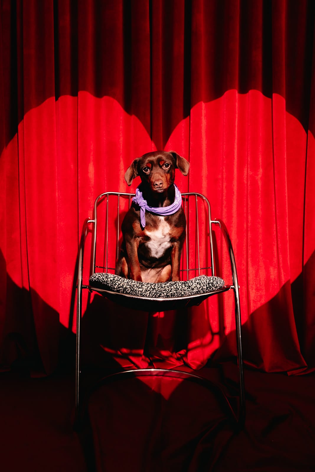 VALENTINES_2025_FOREVER_CHARLIE_VALENTIN-109